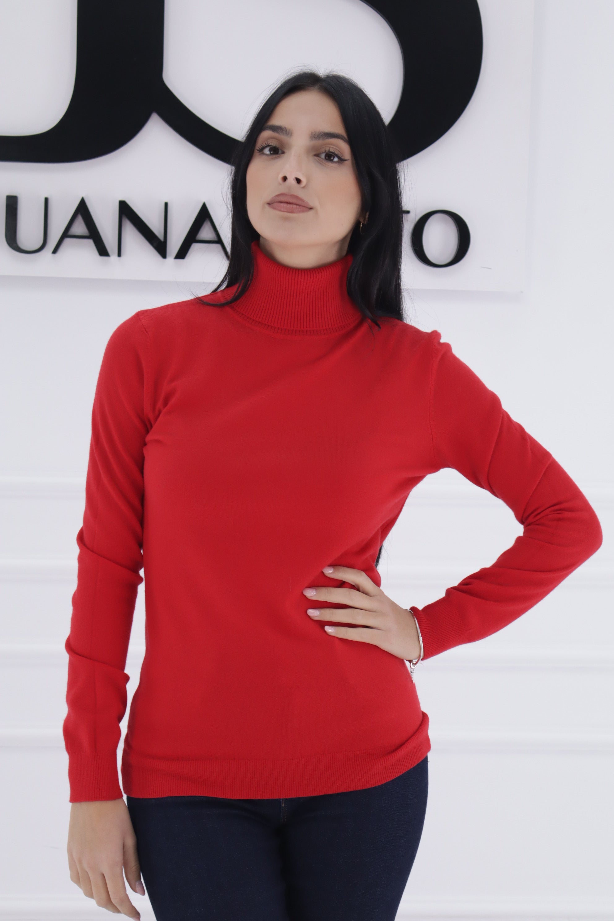 Jersey cuello alto H-135