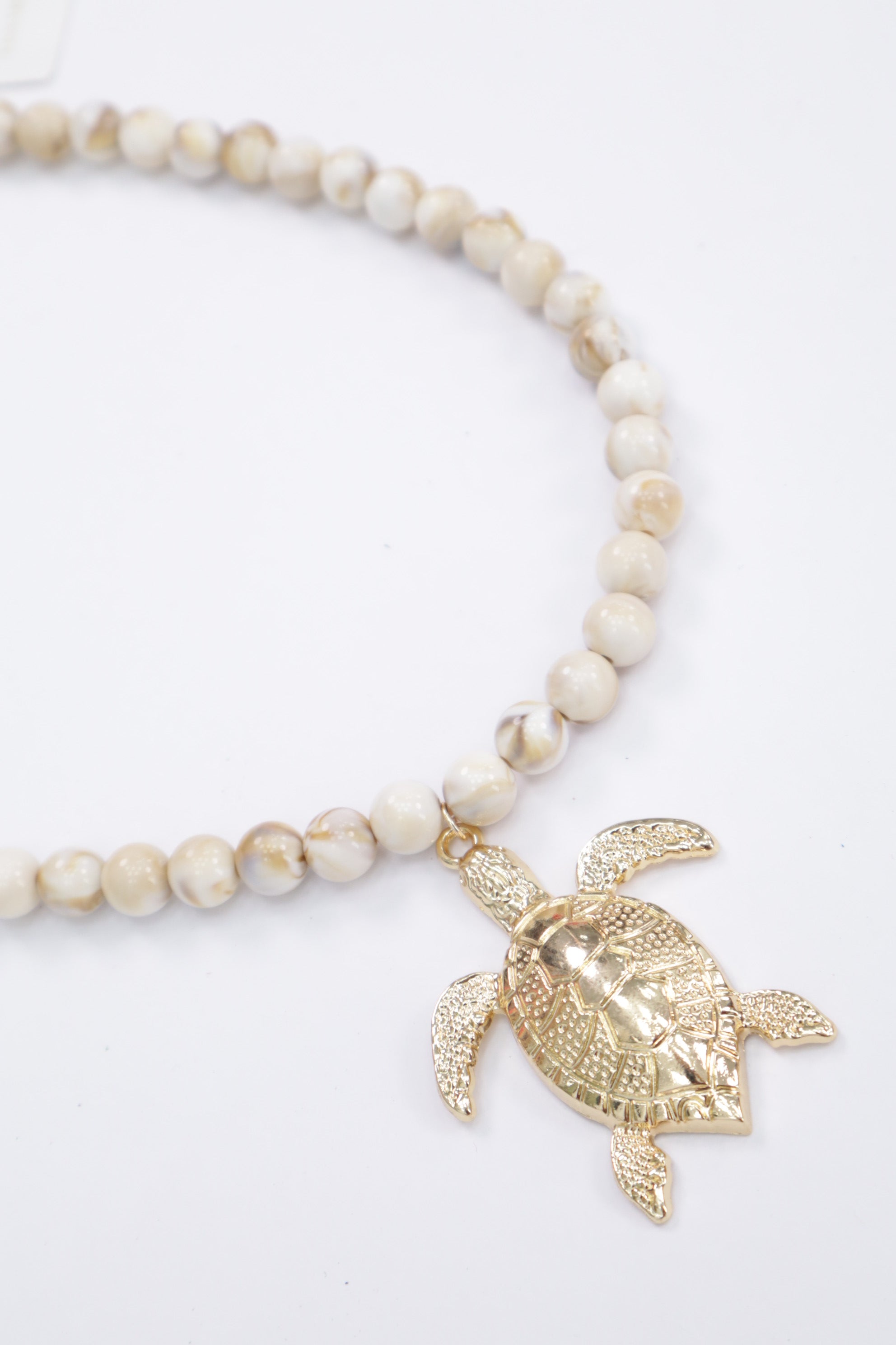 Collar tortuga 44131