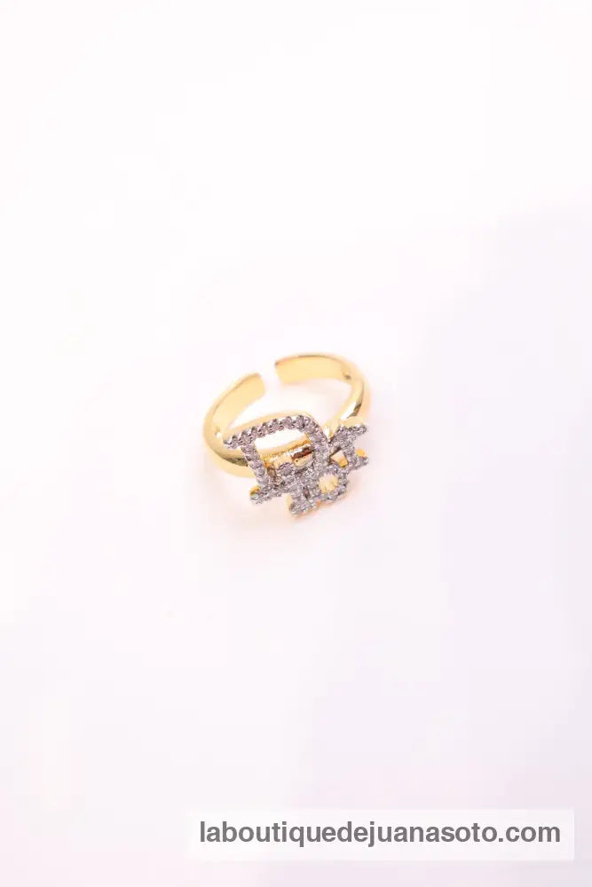 Anillo acero dir
